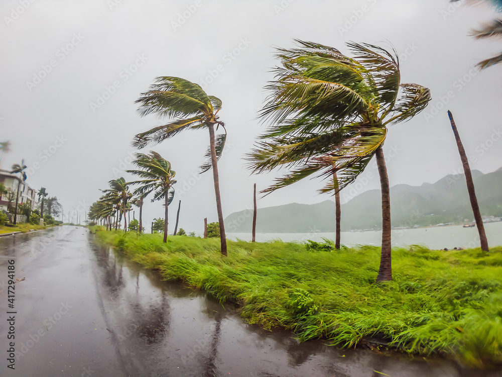 台風の季節